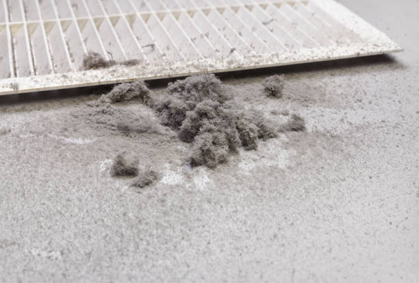Best General Air Duct Cleaning  in Chesapeake Beach, MD