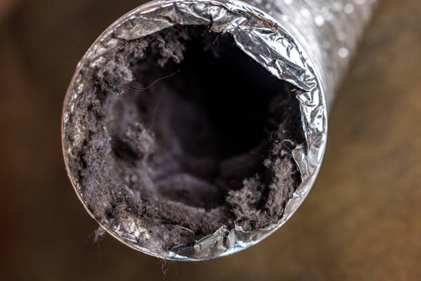 Best HVAC Duct Inspection Services  in Chesapeake Beach, MD